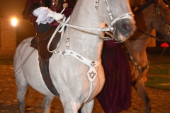 bal-saint-nicolas-2015_4236