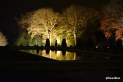 bal-saint-nicolas-2015_4331